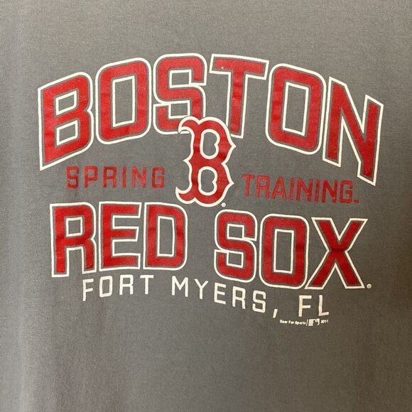 Boston Red Sox tee shirt Spring Training Gray Short Sleeve Boys Sz L - Picture 1 of 4
